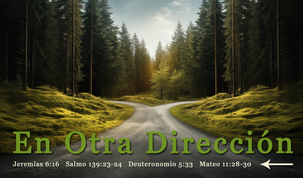 Featured image for “En Otra Dirección”