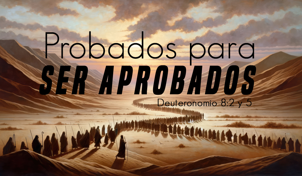 Featured image for “Probados para ser Aprobados”