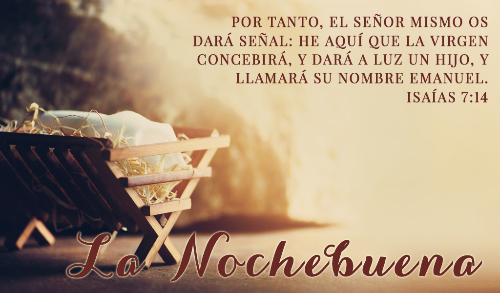 Featured image for “Servicio de Nochebuena”