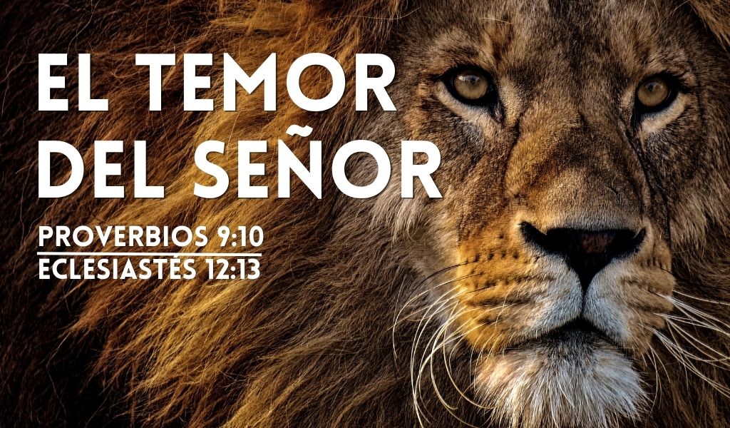 Featured image for “El Temor Del Senor”